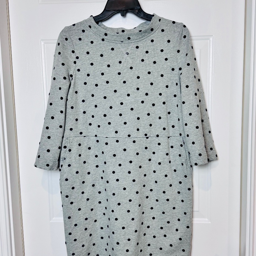 Boden Livia Polka Dot Sweatshirt Shift Dress